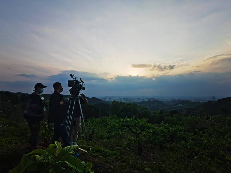 聚焦岷县产品宣传视频拍摄公司，用专业实力铸就品牌传播传奇