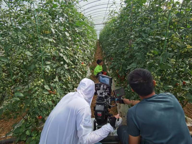 岷县产品宣传视频拍摄公司进阶指南，助力品牌抢占传播高地